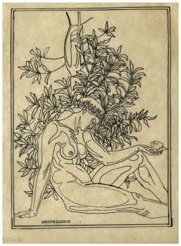 Visualizza l'immagine "FD D 2529"